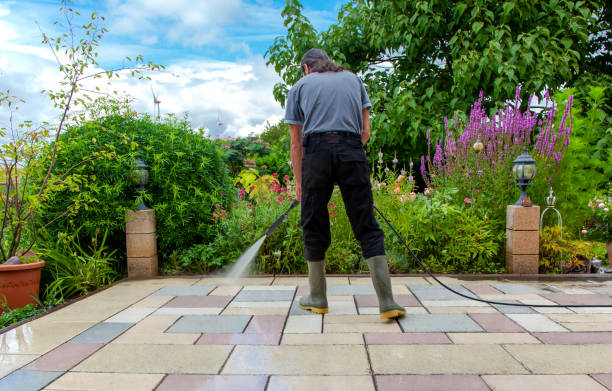 Best Sidewalk and Walkway Cleaning  in Savanna, IL